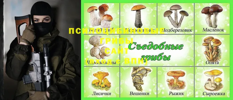 Галлюциногенные грибы Magic Shrooms  Карабаново 